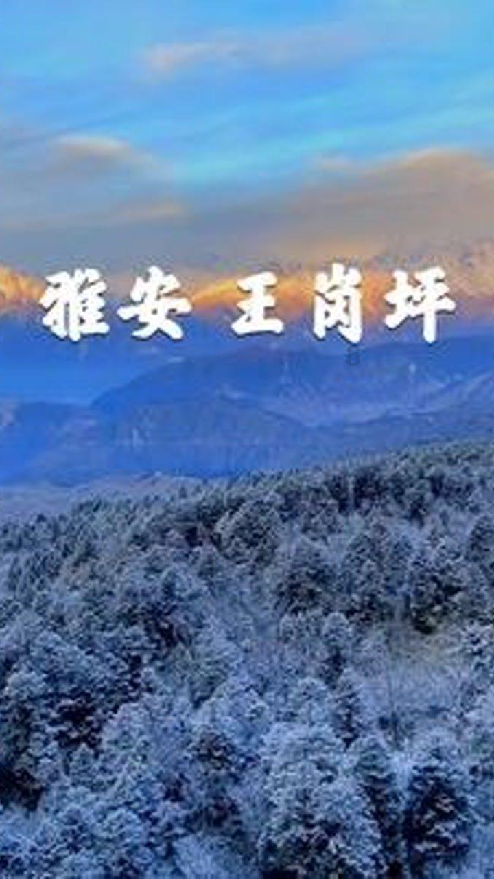 喜欢一个人需要理由吗?- 优质有问必答平台